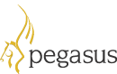 Pegasus