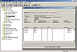 Sage Line 100 Sales ledger display